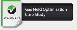 Gas Field Optimization Case Study