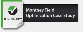 Montney Gas Field Optimization Case Study